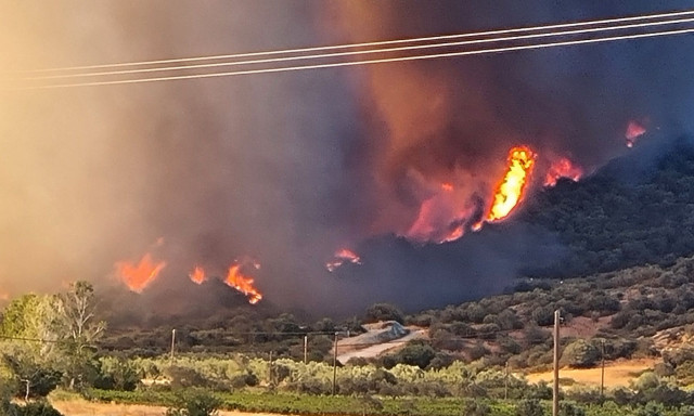 Σκληρή μάχη με τις φλόγες στην Εύβοια – Κρίσιμες οι επόμενες ώρες για την εξέλιξη της πυρκαγιάς