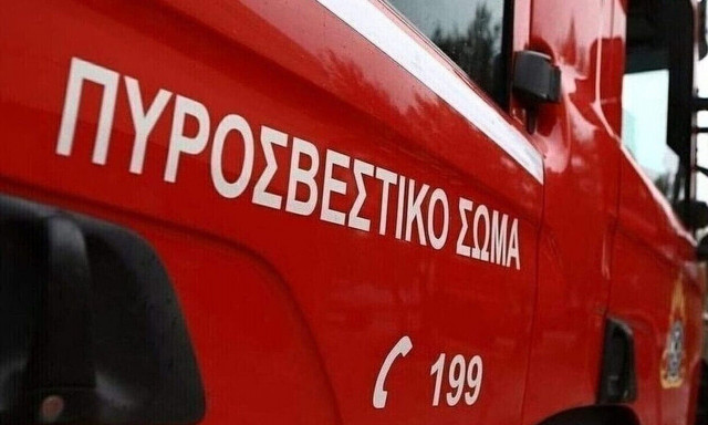 Σέρρες: Πυρκαγιά σε φορτηγό στην Εγνατία όδο - Επεκτάθηκε σε χόρτα