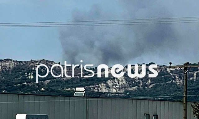 Φωτιά στην Ηλεία – Καίει κοντά σε σπίτια