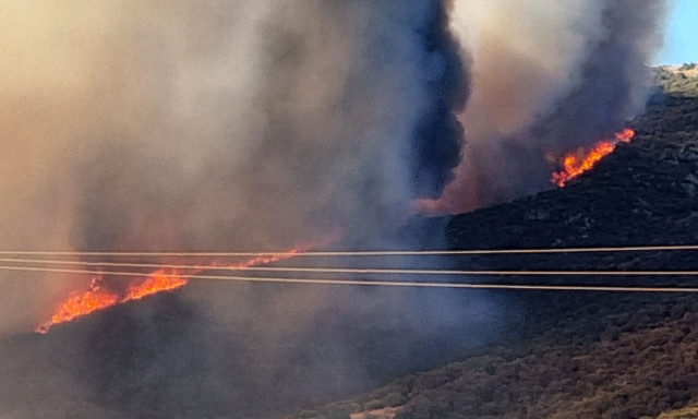 Οικογενειακή υπόθεση εμπρησμών: Συνελήφθη ζευγάρι στη Νέα Μάκρη - Αναζητείται ο 16χρονος γιος τους