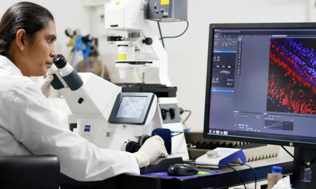 Ινδοί επιστήμονες κατασκεύασαν καινοτόμο πρόγραμμα επεξεργασίας γονιδίων