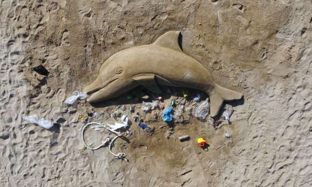 Greenpeace: Στην Αρτέμιδα το εντυπωσιακό γλυπτό ενός δελφινιού από άμμο