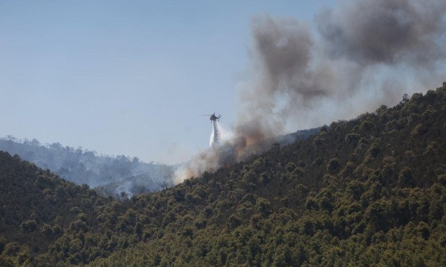 Φωτιές: Στο «κόκκινο» η Ελλάδα μέχρι τον Δεκαπενταύγουστο
