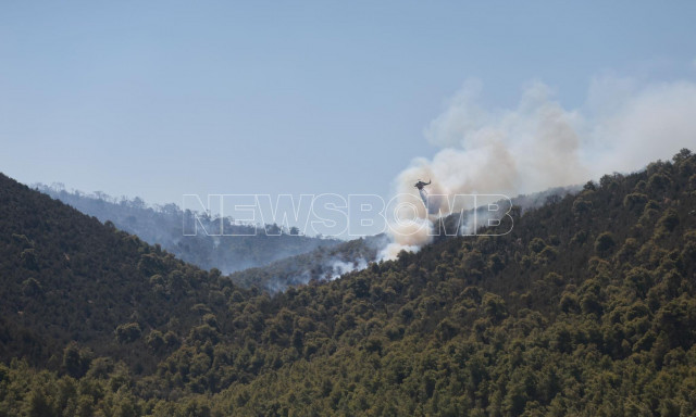 Αναζωπυρώσεις της φωτιάς στην Εύβοια - Μαρτυρία εθελοντή: «Σίγουρα θα θρηνούσαμε θύματα»