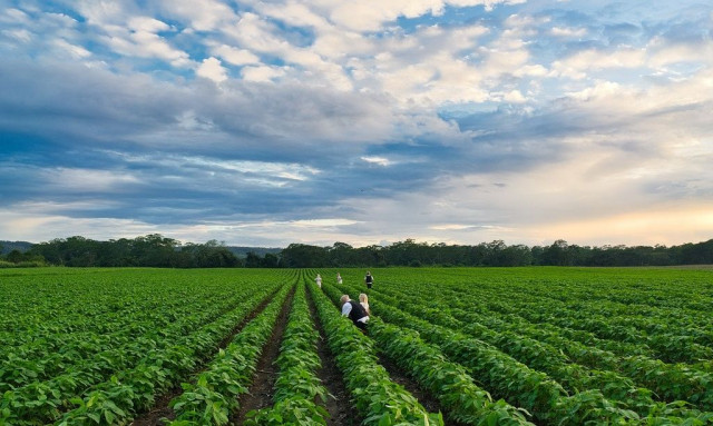 Αυξάνεται πάνω από 50% ο προϋπολογισμός στο πρόγραμμα για την απονιτροποίηση εδαφών