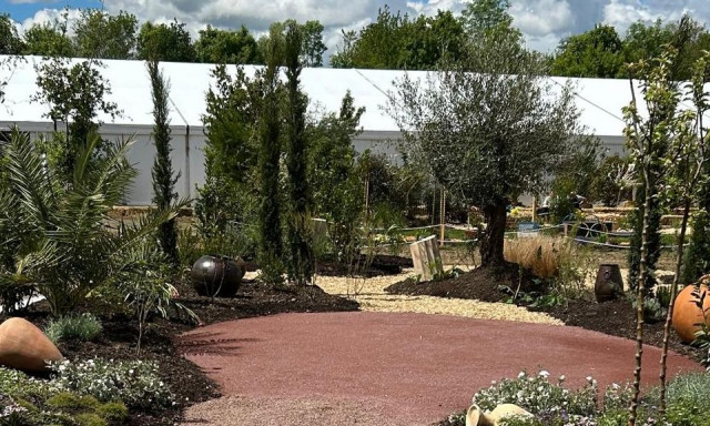 Πυρκαγιές: Με ποια φυτά θα μπορέσουμε να προστατεύσουμε τις περιουσίες μας από τις φωτιές