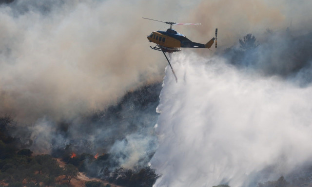 Απίστευτο: Από γεράκι που άρπαξε φωτιά από καλώδιο της ΔΕΗ η πυρκαγιά στην Εύβοια