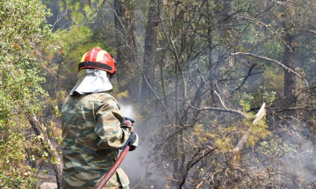Μέθοδος «αντιπύρ»: Πυροσβέστες πολεμούν τη φωτιά με… φωτιά