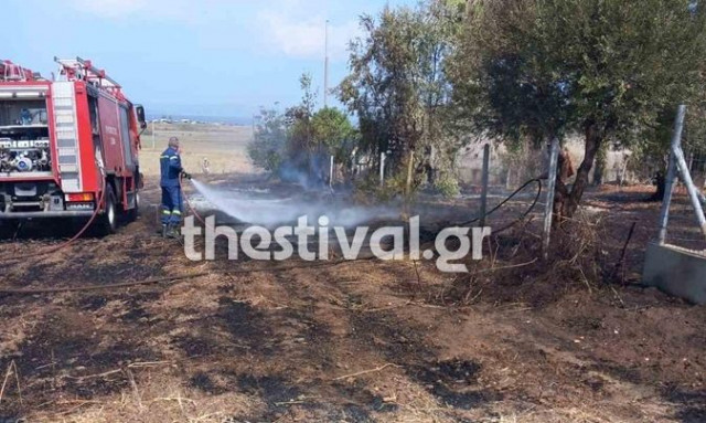 Χαλκιδική: Φωτιά κοντά σε σπίτια στην παραλία του Αγίου Μάμα - «Σηκώθηκαν» εναέρια μέσα