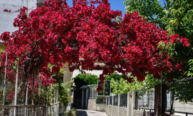 Τουρισμός: «Καρδιογράφημα» η κίνηση σε ηπειρωτικούς προορισμούς - Τι λένε οι επαγγελματίες