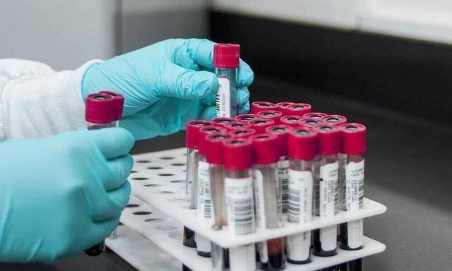 Λεϊσμανίαση: Η τροπική νόσος που εξαπλώνεται ραγδαία