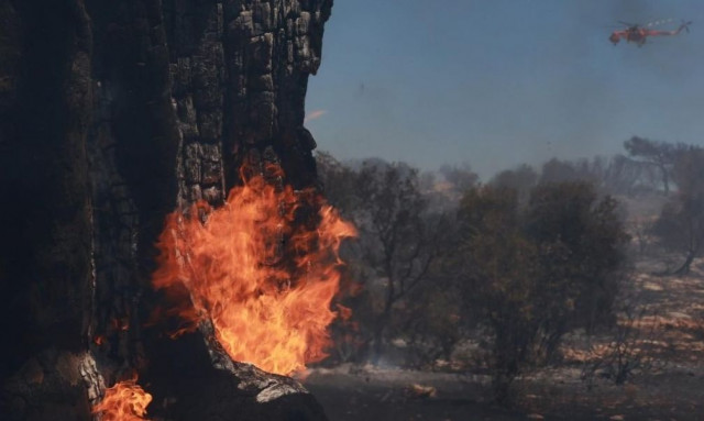 Πρώην καθηγητής στη Σχολή Αξιωματικών της ΕΛ.ΑΣ. ο συλληφθείς για τις φωτιές στη Βάρη