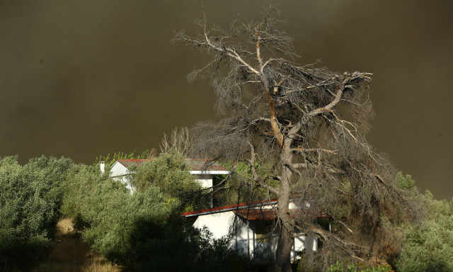 Φωτιά στον Βαρνάβα: Ο καπνός έχει καλύψει απόσταση 100 χιλιομέτρων