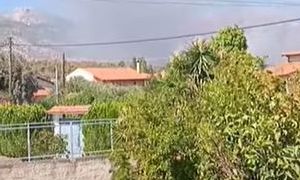Φωτιά στην Ερέτρια: Απειλήθηκαν σπίτια, καλύτερη η εικόνα