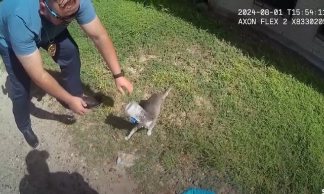 Αστυνομικοί στο Τέξας βοήθησαν γατούλα με πλαστικό δοχείο σφηνωμένο στο κεφάλι της