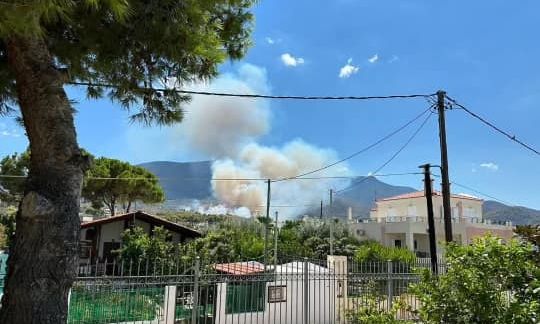 Κάηκαν τέσσερα σπίτια από τη φωτιά στα Μέγαρα