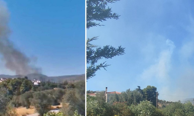 Φωτιά στην Ερέτρια: Μάχη με τις φλόγες, εκκενώσεις περιοχών- Οι πρώτες εκτιμήσεις