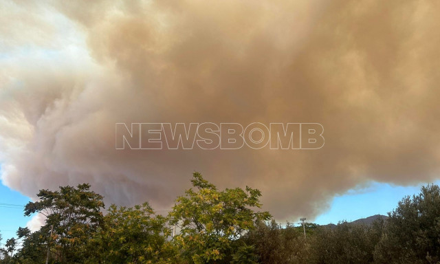 Κάτω Κηφισιά: «Μαύρισε» ο ουρανός από τους καπνούς - Δείτε εικόνες από το σημείο
