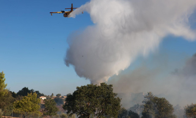 Φωτιά στον Βαρνάβα: Εκκένωση των κατασκηνώσεων Αθητάκη
