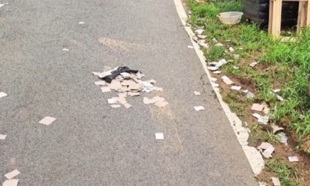 Νότια Κορέα: Μπαλόνια σκουπιδιών προσγειώθηκαν δίπλα στο Προεδρικό Μέγαρο