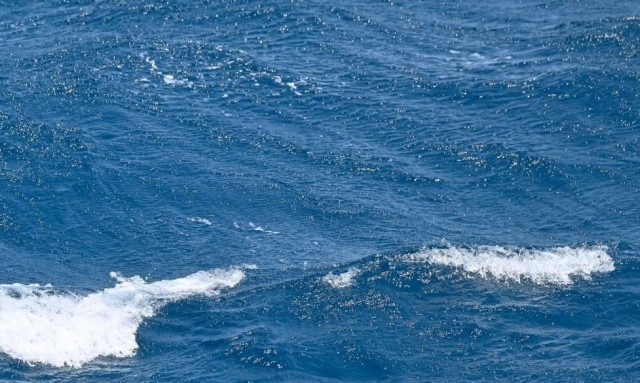 Γαλλία: Δύο μετανάστες έχασαν τη ζωή τους κατά την προσπάθειά τους να διασχίσουν την Μάγχη