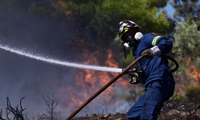 Φωτιά στην Αττική: Αν βρίσκεστε στο Σουφάνι Μαραθώνα, εκκενώστε προς Νέα Μάκρη - Νέο 112