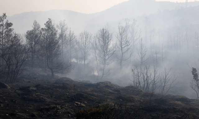 Φωτιά στην Αττική: Αν είστε στην Καλλιτεχνούπολη, απομακρυνθείτε προς Ραφήνα - Νέο μήνυμα 112