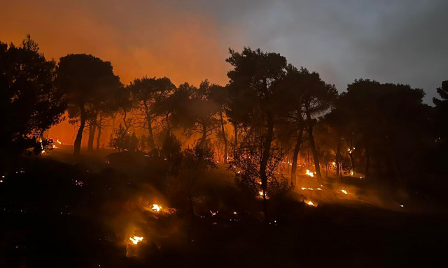 Θεσσαλονίκη: Υπό μερικό έλεγχο η πυρκαγιά στο περιαστικό δάσος της Ξάνθης