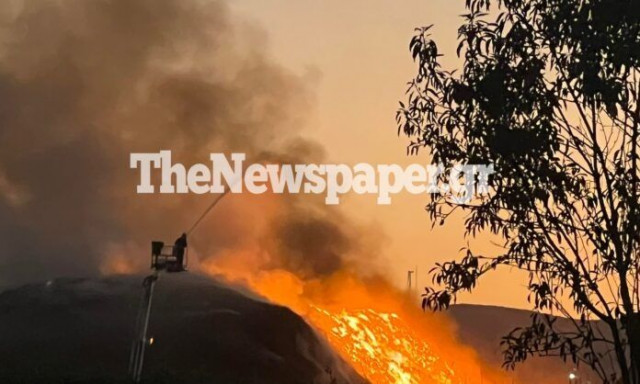 Βόλος: Συναγερμός για φωτιά στη ΒΙΠΕ – Δείτε εικόνες