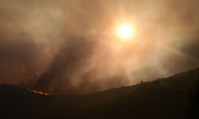 Σοκαριστική παραδοχή Λέκκα: «Έχουμε να κάνουμε με μια νέα κανονικότητα- Χάνονται τα δάση»