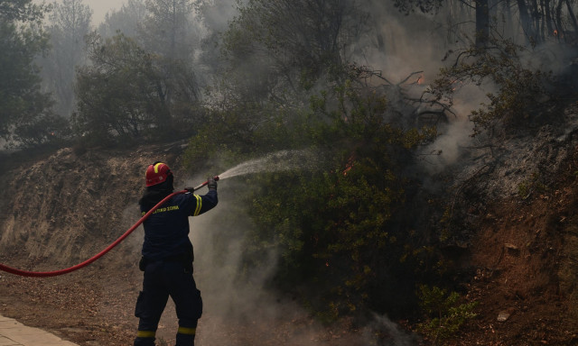 Φωτιά στην Εύβοια