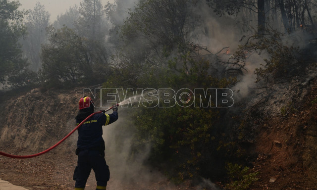 Φωτιά στην Αττική: Μήνυμα του 112 για τον Διόνυσο - Εκκενώστε προς Κηφισιά