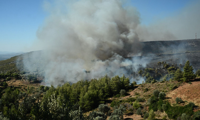Φωτιά στην Αττική: Αν είστε Ντράφι, Διώνη και Δασαμάρι εκκενώστε προς Παλλήνη - Νέο μήνυμα 112