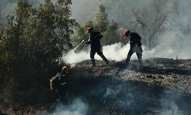 Συνελήφθη ανήλικος για εμπρησμό από πρόθεση στους Αγ. Αναργύρους Αττικής