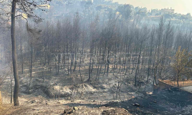 Φωτιά στην Αττική: Αποκαρδιωτικές εικόνες από την καμένη γη στη Νέα Πεντέλη