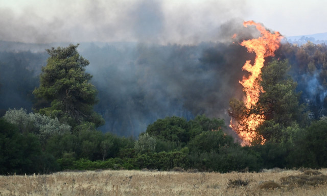Φωτιά στην Αττική: Οδηγίες προστασίας από τον καπνό - Τι πρέπει να κάνετε