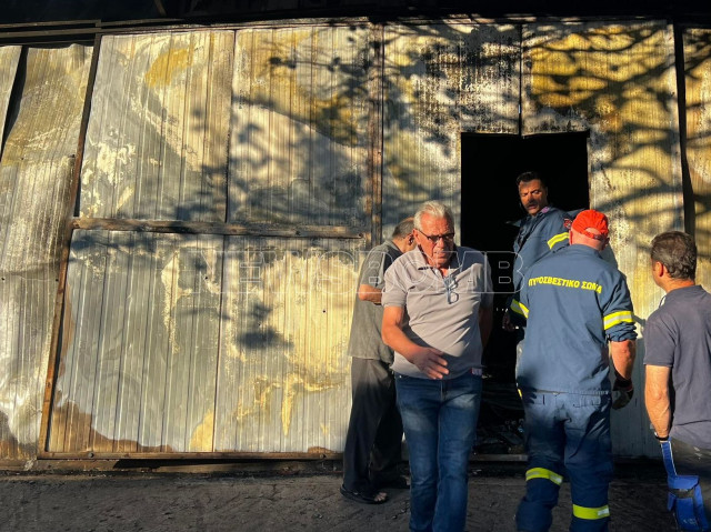 Φωτιά στην Αττική: «Έψαχναν τη Νάντια στο κινητό και δεν απαντούσε» - Πώς βρέθηκε νεκρή η 65χρονη