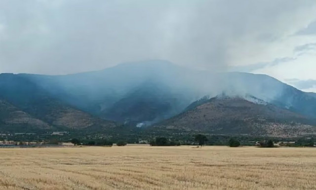 Σέρρες: Καίει επί σχεδόν έναν μήνα η φωτιά στο όρος Όρβηλος – Σε απόγνωση βρίσκονται οι κάτοικοι