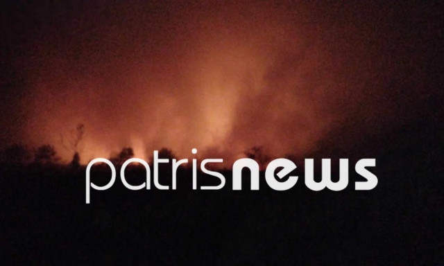 Ηλεία: Φωτιά στην Μανωλάδα