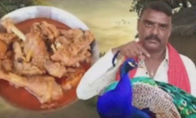 Ινδία: Γνωστός ΥouΤuber φυλακίστηκε για ιεροσυλία – Μαγείρεψε και έφαγε παγώνι