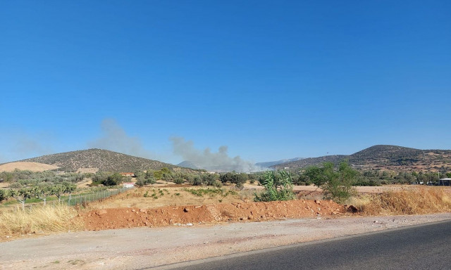 Φωτιά στα Καλύβια Θωρικού: Καίει χαμηλή βλάστηση - Σε συναγερμό η Πυροσβεστική