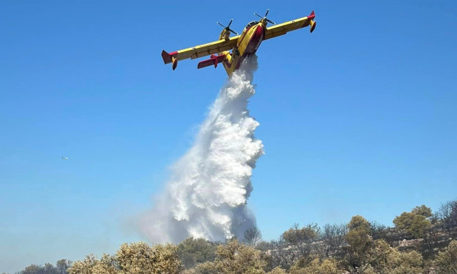 Δήμαρχος Σαρωνικού στο Newsbomb.gr: «Η φωτιά έκαψε 50 στρέμματα - Δεν κινδύνευσαν σπίτια»