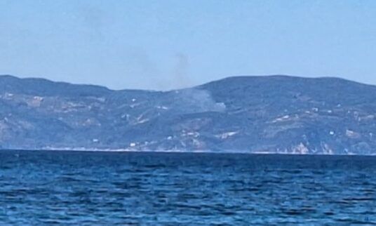 Φωτιά στο Πήλιο: Ήχησε το «112» – Συνδράμουν επίγεια και εναέρια μέσα