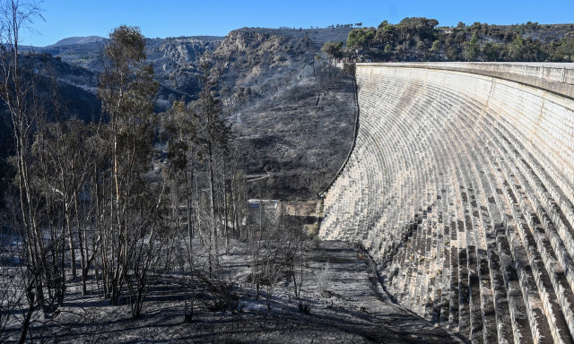 Δυσοίωνες προβλέψεις για  φυσική αναγέννηση των καμένων στη βορειανατολική Αττική