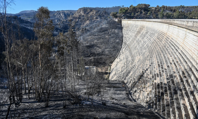 Φωτιά στην Αττική: Στάχτη σχεδόν 100 σπίτια - Το 10% των καμένων εκτάσεων ήταν δάση