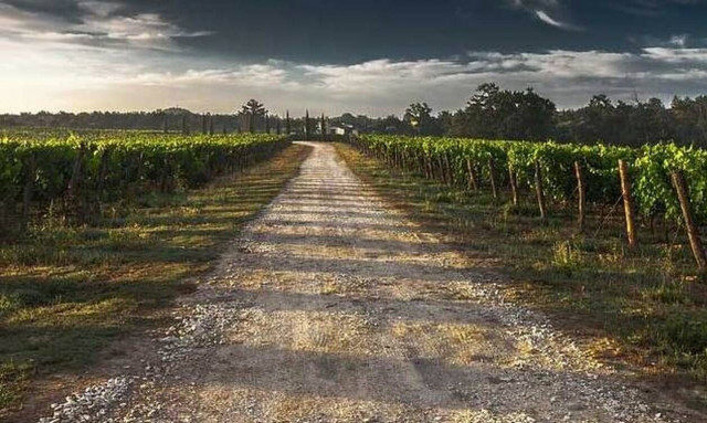 Τραγωδία στην Κρήτη: 37χρονος αυτοκτόνησε στο χωράφι του - Τον βρήκε ο γιος του