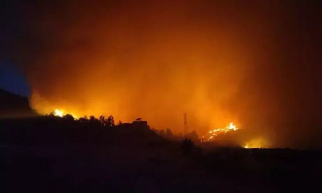 Η Σμύρνη καίγεται: Τεράστια δασική πυρκαγιά απειλεί οικισμούς - Κάηκαν σπίτια