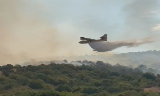 Φωτιές σε Κοζάνη και Πέλλα – Ισχυρή πυροσβεστική δύναμη, επιχειρούν και εναέρια μέσα