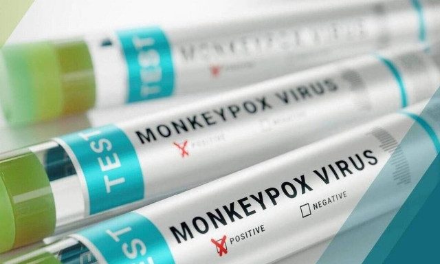 Ευλογιά των πιθήκων - Ψαλτοπούλου: Αυξημένη θνητότητα σε σχέση με δύο χρόνια πριν