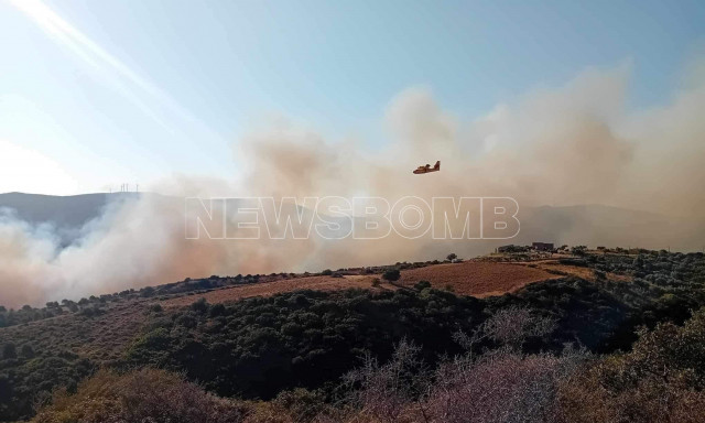 Φωτιά στους Ζάρακες Ευβοίας